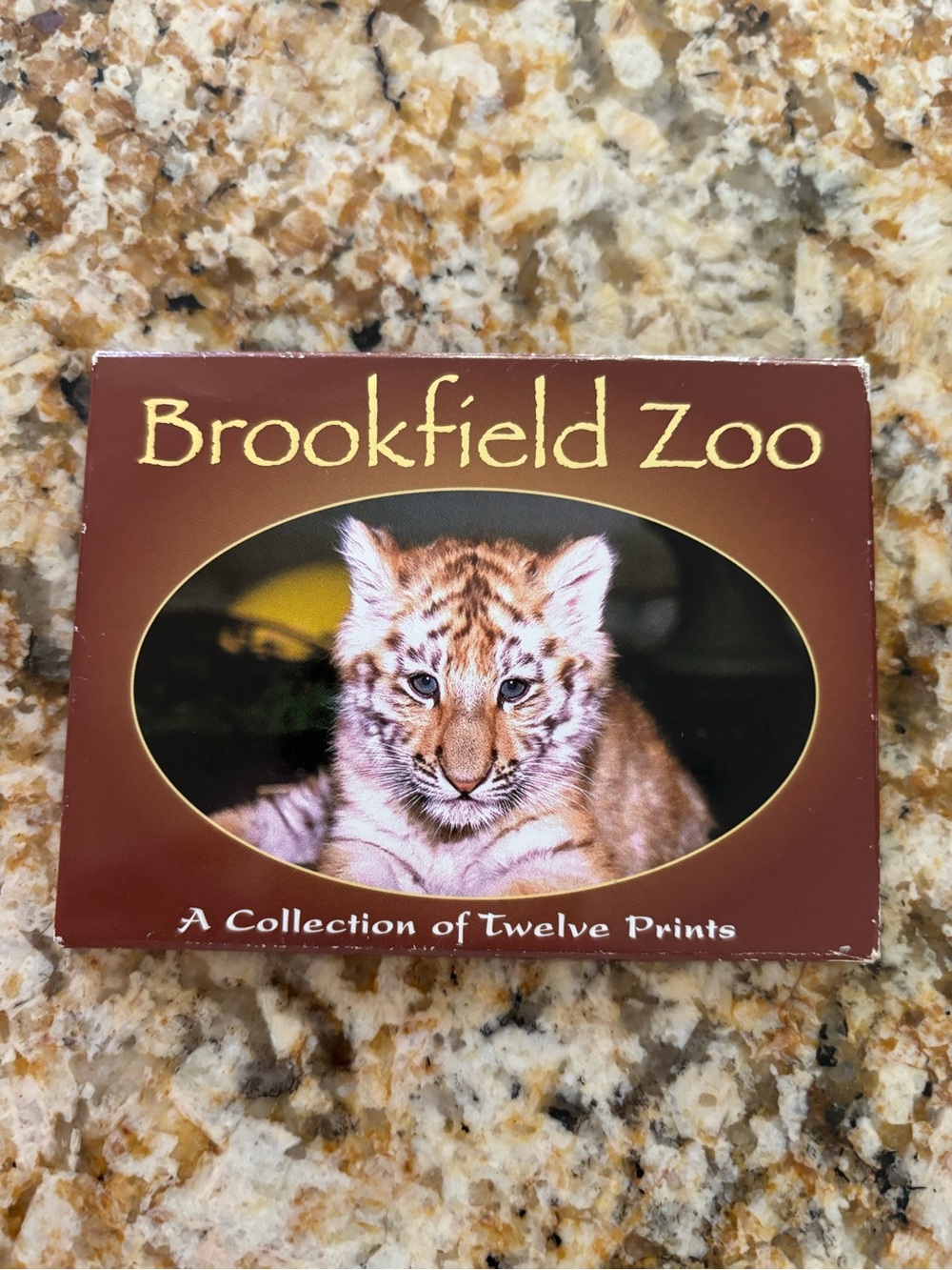 Brookfield Zoo 12 Prints